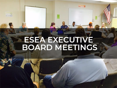 ESEA Board Meetings
